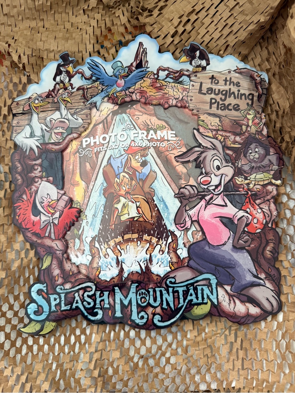 Disney Parks Splash Mountain Acrylic Frame